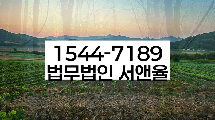 개인회생 파산 재신청